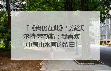《我仍在此》导演沃尔特·塞勒斯：我喜欢中国山水画的留白