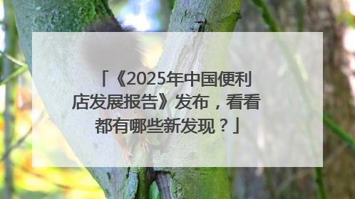 《2025年中国便利店发展报告》发布，看看都有哪些新发现？