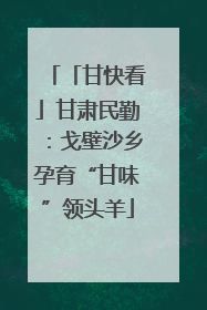「甘快看」甘肃民勤：戈壁沙乡孕育“甘味”领头羊