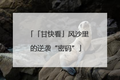 「甘快看」风沙里的逆袭“密码”