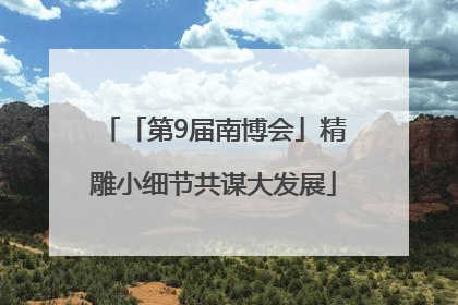「第9届南博会」精雕小细节共谋大发展