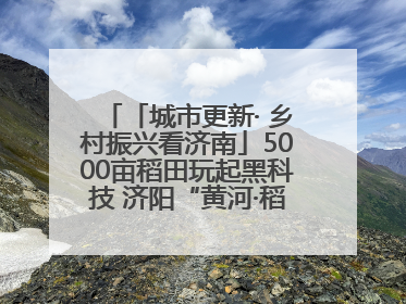 「城市更新· 乡村振兴看济南」5000亩稻田玩起黑科技 济阳“黄河·稻乡湾”靠“非遗+露营”火出圈