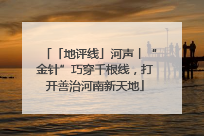 「地评线」河声丨“金针”巧穿千根线，打开善治河南新天地