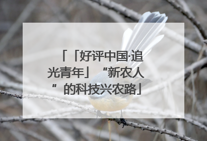 「好评中国·追光青年」“新农人”的科技兴农路