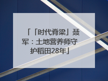 「时代脊梁」聂军：土地营养师守护稻田28年