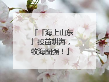 「海上山东」投苗耕海，牧海图强！