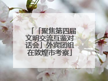 「聚焦第四届文明交流互鉴对话会」外宾团组在敦煌市考察