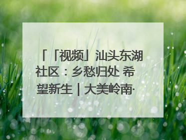 「视频」汕头东湖社区：乡愁归处 希望新生｜大美岭南·百村焕新记