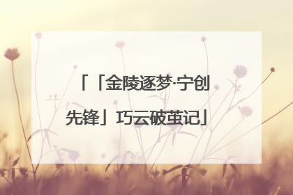 「金陵逐梦·宁创先锋」巧云破茧记