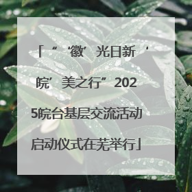 “‘徽’光日新‘皖’美之行”2025皖台基层交流活动启动仪式在芜举行