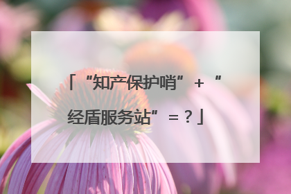 “知产保护哨”+“经盾服务站”=？