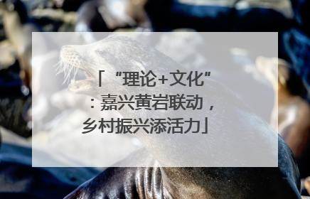 “理论+文化”：嘉兴黄岩联动，乡村振兴添活力