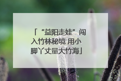 “益阳走娃”闯入竹林秘境 用小脚丫丈量大竹海