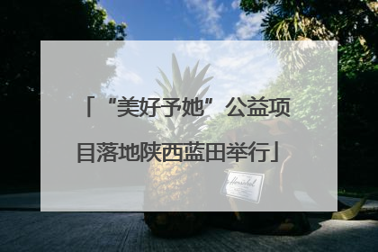 “美好予她”公益项目落地陕西蓝田举行