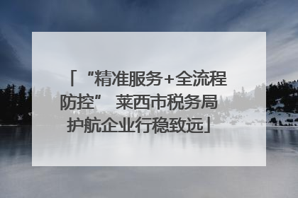 “精准服务+全流程防控” 莱西市税务局护航企业行稳致远