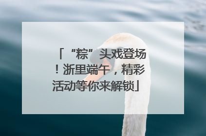 “粽”头戏登场！浙里端午，精彩活动等你来解锁