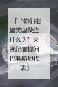 “你们指望美国做些什么？”央视记者提问巴勒斯坦代表