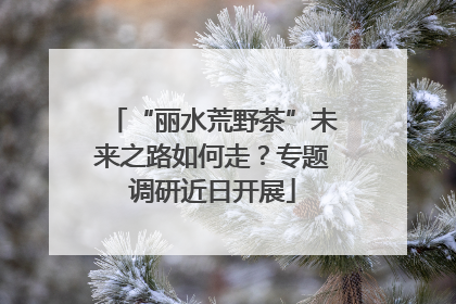 “丽水荒野茶”未来之路如何走？专题调研近日开展