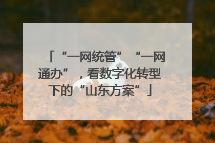 “一网统管”“一网通办”，看数字化转型下的“山东方案”