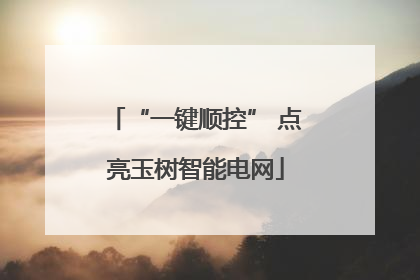 “一键顺控” 点亮玉树智能电网
