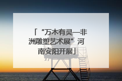 “万木有灵—非洲雕塑艺术展”河南安阳开展