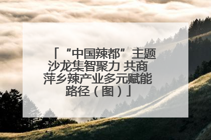 “中国辣都”主题沙龙集智聚力 共商萍乡辣产业多元赋能路径（图）