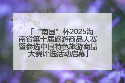 “南国”杯2025海南省第十届旅游商品大赛暨参选中国特色旅游商品大赛评选活动启幕