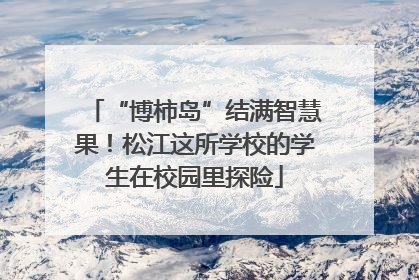 “博柿岛”结满智慧果！松江这所学校的学生在校园里探险