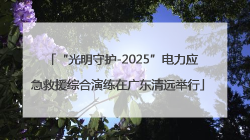 “光明守护-2025”电力应急救援综合演练在广东清远举行