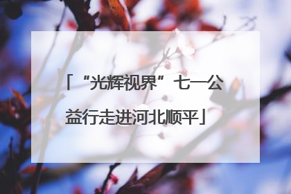 “光辉视界”七一公益行走进河北顺平