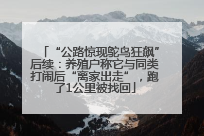 “公路惊现鸵鸟狂飙”后续：养殖户称它与同类打闹后“离家出走”，跑了1公里被找回