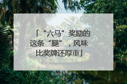 “六马”奖励的这条“腿”，风味比奖牌还厚重