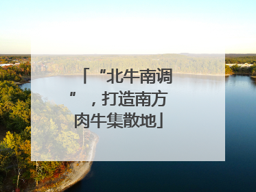 “北牛南调”，打造南方肉牛集散地