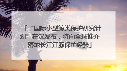 “国际小型鲸类保护研究计划”在汉发布，将向全球推介落地长江江豚保护经验