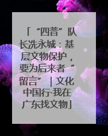 “四普”队长冼永城：基层文物保护，要为后来者“留言”｜文化中国行·我在广东找文物