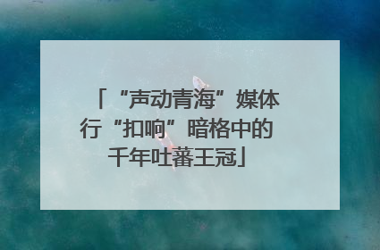 “声动青海”媒体行“扣响”暗格中的千年吐蕃王冠