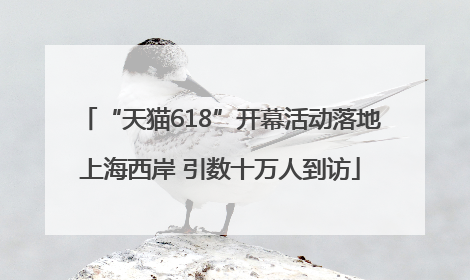 “天猫618”开幕活动落地上海西岸 引数十万人到访
