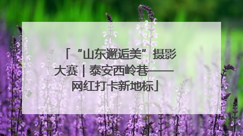 “山东邂逅美”摄影大赛｜泰安西岭巷——网红打卡新地标