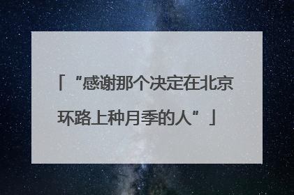 “感谢那个决定在北京环路上种月季的人”