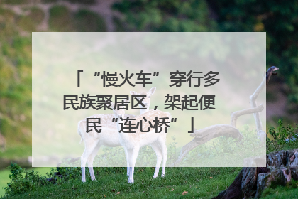 “慢火车”穿行多民族聚居区，架起便民“连心桥”