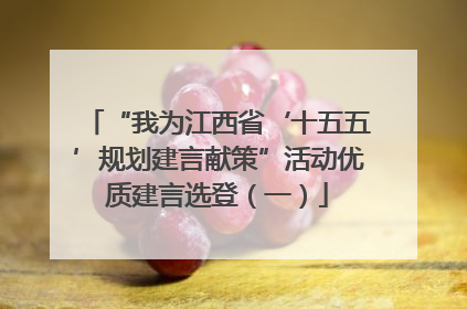 “我为江西省‘十五五’规划建言献策”活动优质建言选登（一）