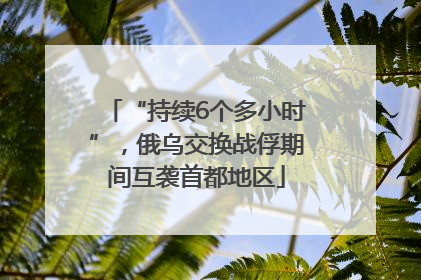 “持续6个多小时”，俄乌交换战俘期间互袭首都地区
