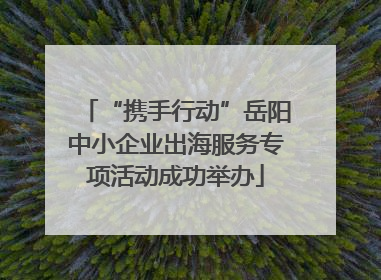 “携手行动”岳阳中小企业出海服务专项活动成功举办