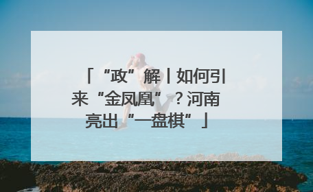 “政”解丨如何引来“金凤凰”？河南亮出“一盘棋”