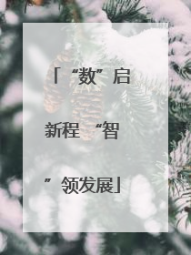 “数”启新程 “智”领发展