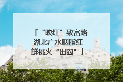 “映红”致富路 湖北广水胭脂红鲜桃火“出圈”