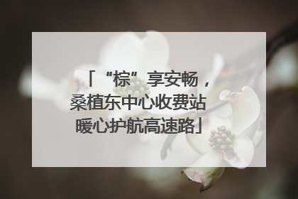 “棕”享安畅，桑植东中心收费站暖心护航高速路
