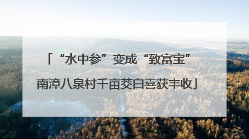“水中参”变成“致富宝” 南漳八泉村千亩茭白喜获丰收
