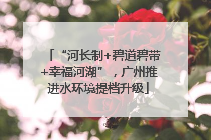 “河长制+碧道碧带+幸福河湖”，广州推进水环境提档升级