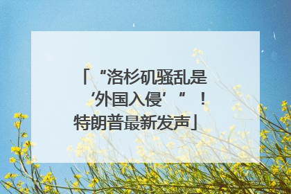 “洛杉矶骚乱是‘外国入侵’”！特朗普最新发声